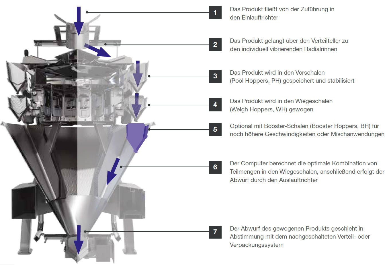 Ishida Mehrkopfwaagen