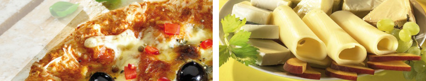 STEPHAN UHT SYSTEM / STEPHAN CONTINUOUS COOKER